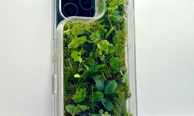 This beautiful, biophilic phone case is on a mission to reduce your screen time