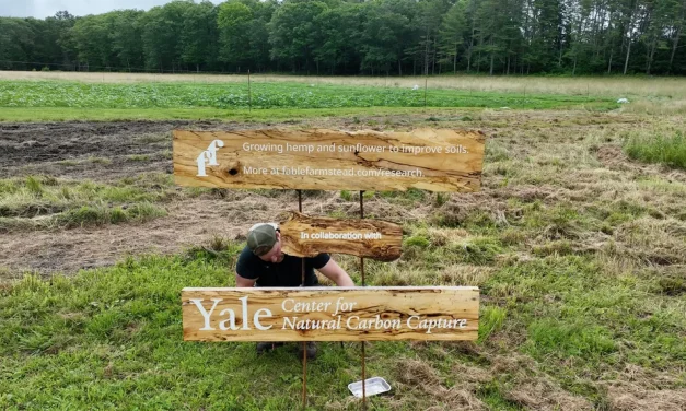 Forever chemicals are hidden in farm soil. Scientists found a new way to remove them