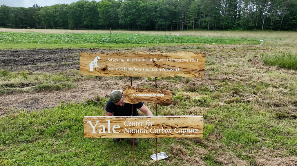 Forever chemicals are hidden in farm soil. Scientists found a new way to remove them