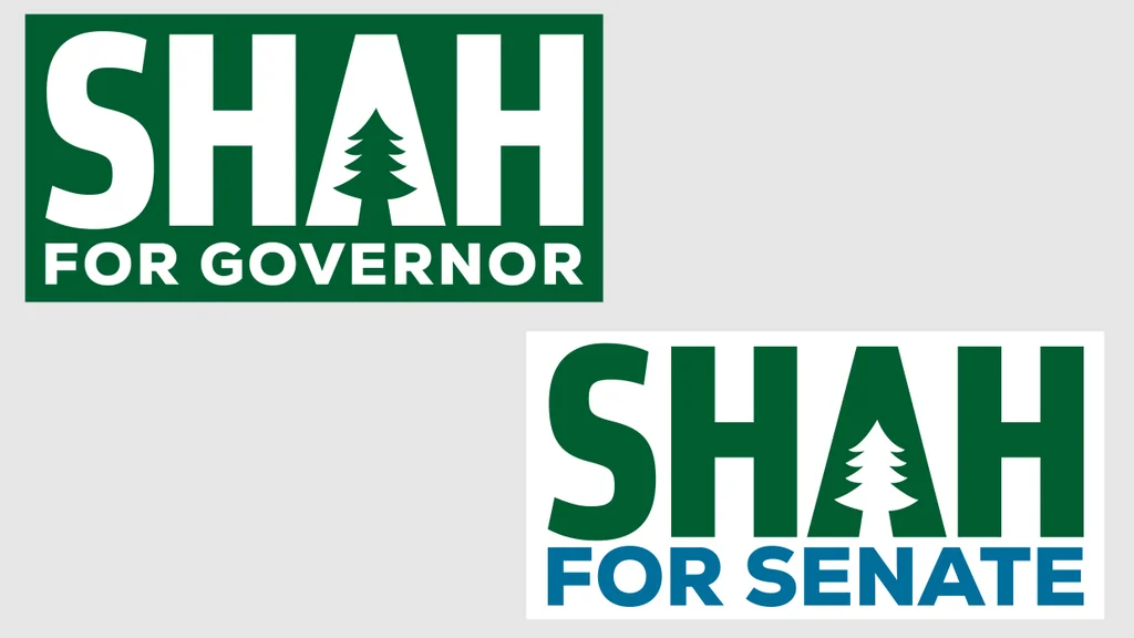 Why Democrats are retrofitting their old logos for the Maine Senate race