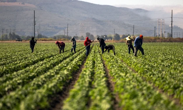 Farmworkers across 22 states will get free access to electrolytes to combat dangerous heat stress