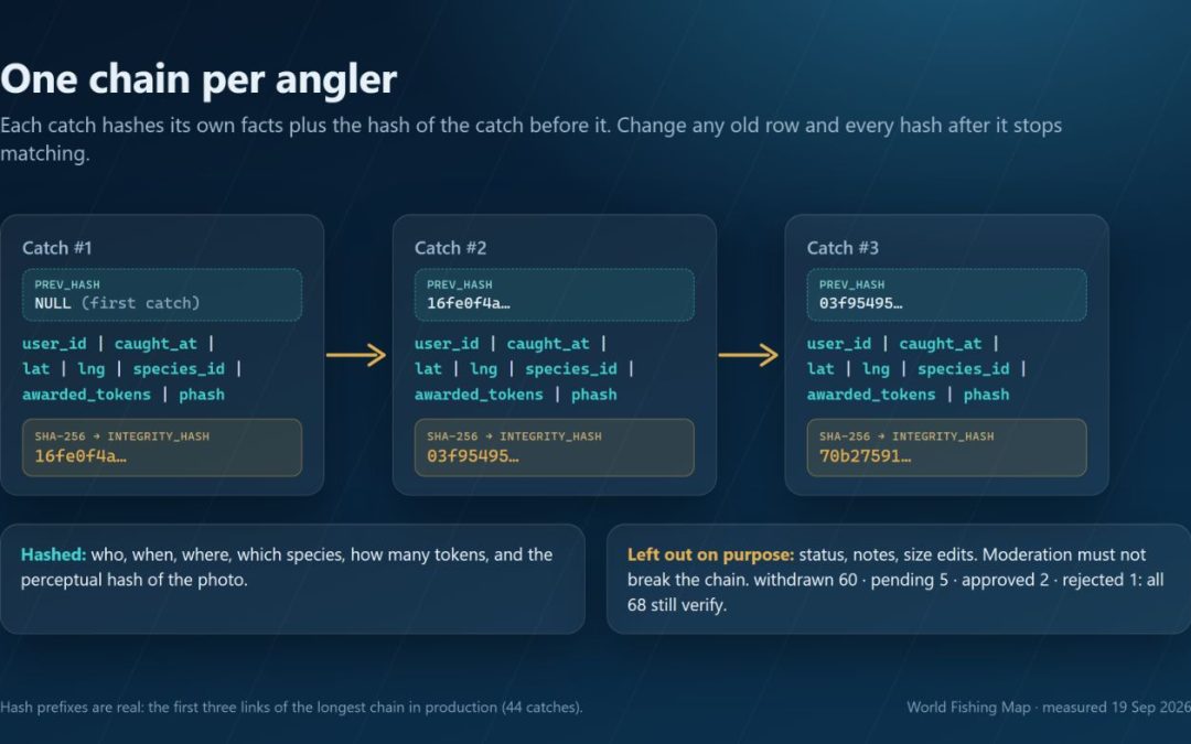 My Fishing App’s Tamper-Proof Ledger Failed Its First Real Audit