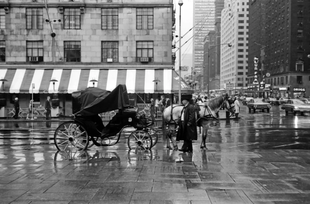 A timeline of New York City trying to ban horse carriages in Central Park