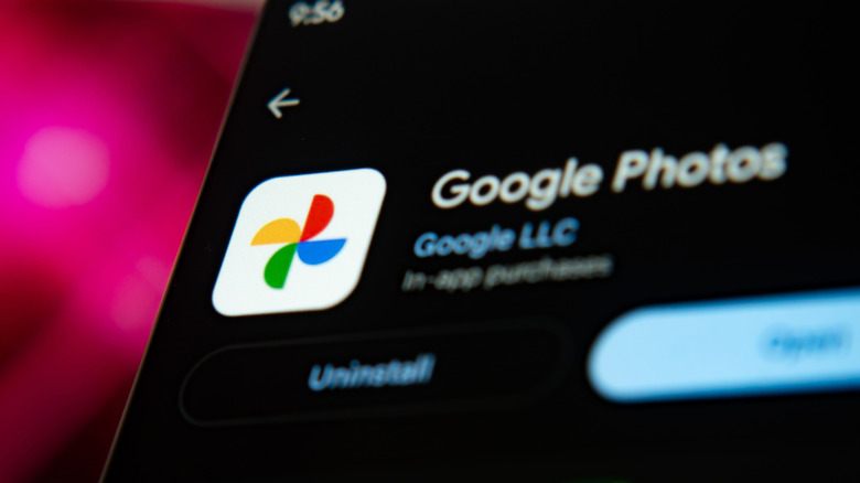 Google Photos vs. Gallery app: What’s the difference and which should you use?