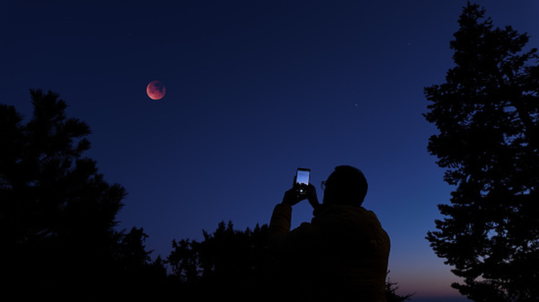 Why are your iPhone photos so blurry (and how to improve it)