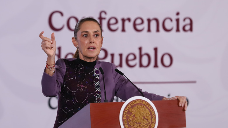 Mexico’s president signs decree ordering tech platforms to protect minors from adult content